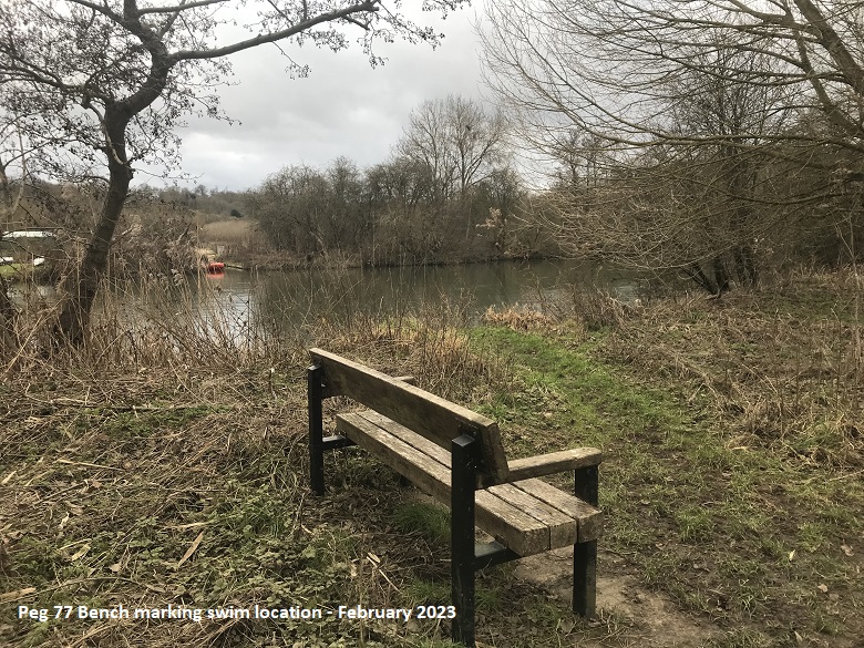 BENCH VIEW